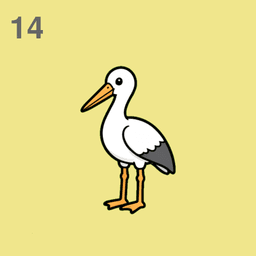 Storch