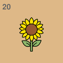 Sonnenblume