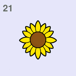 Sonnenblume