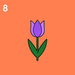 Tulpe