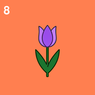 Tulpe