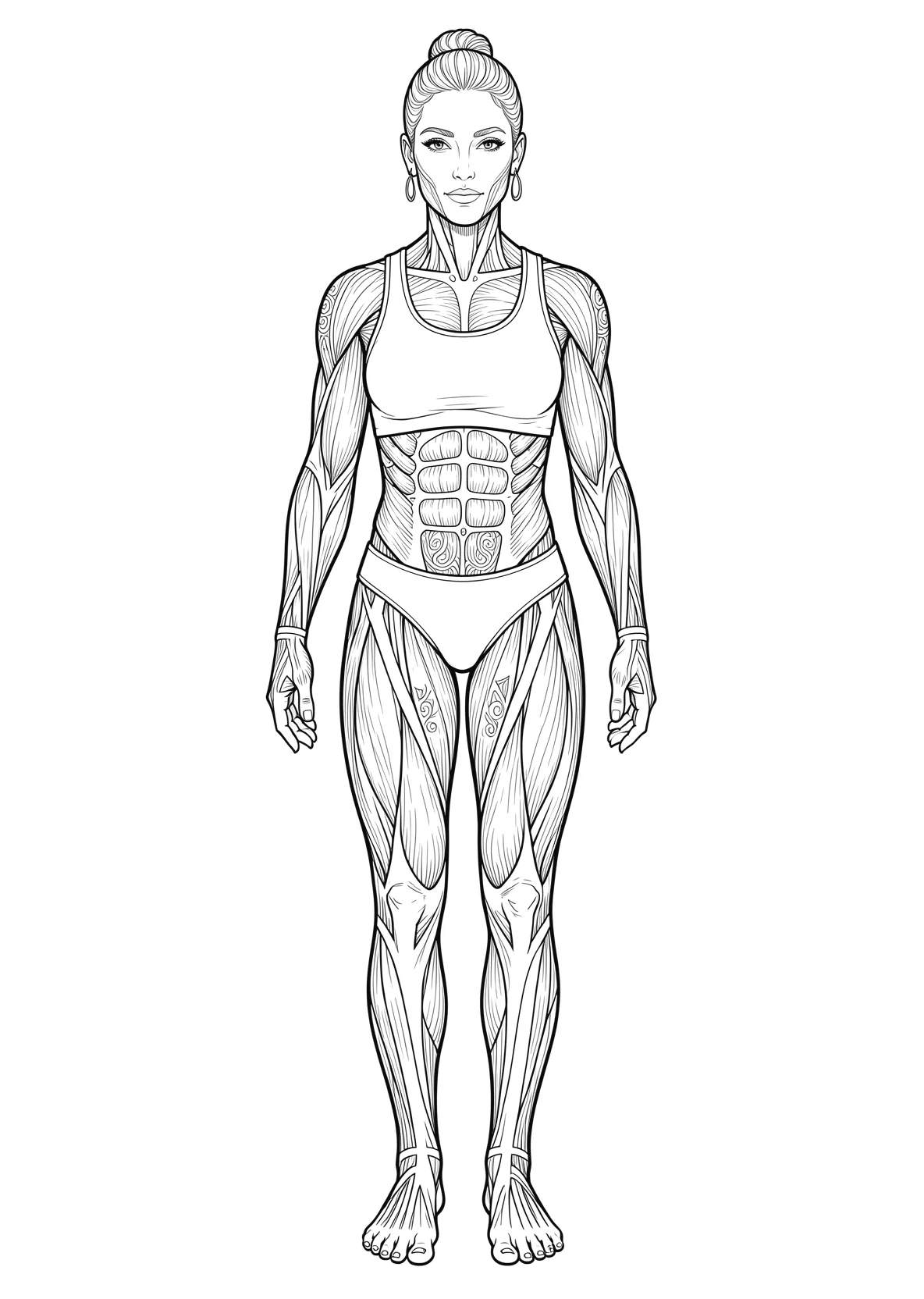 Ausmalbild Eine stehende Frau von vorn mit den großen Muskelgruppen von Schultern, Bauch und Beinen als Strichzeichnung