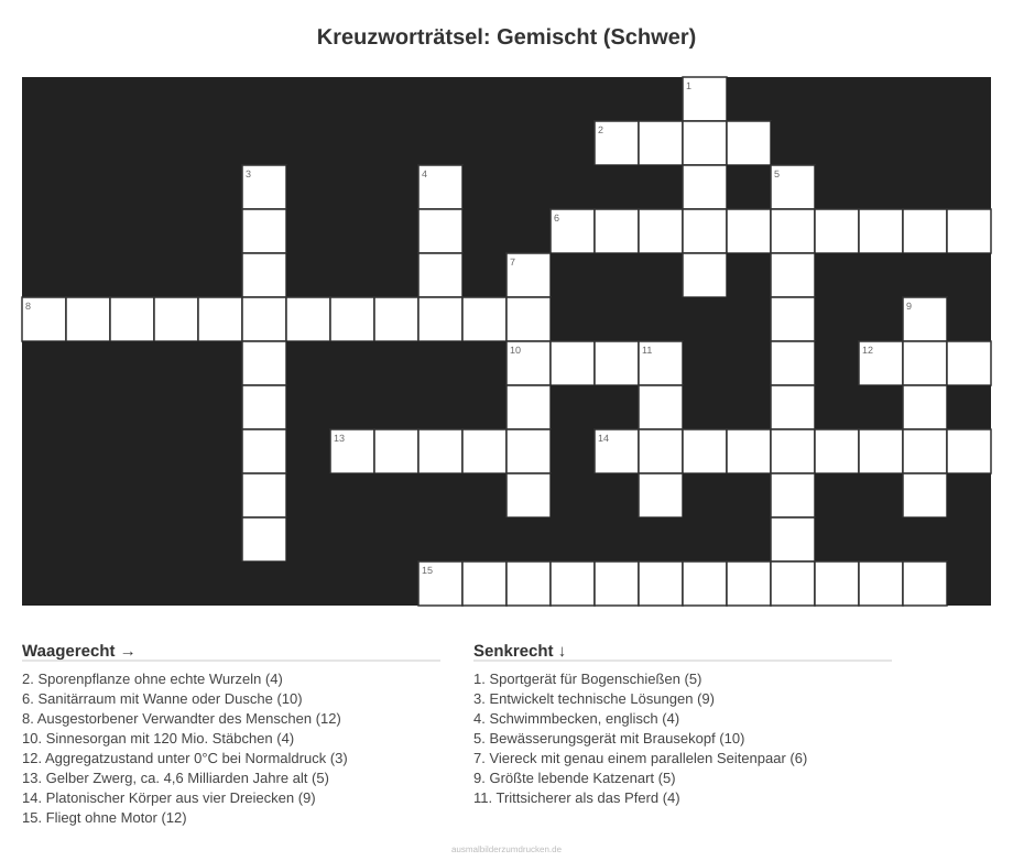Kreuzworträtsel Kreuzworträtsel: Gemischt (Schwer) aus der Kategorie Sonstiges - kostenlos ausdrucken