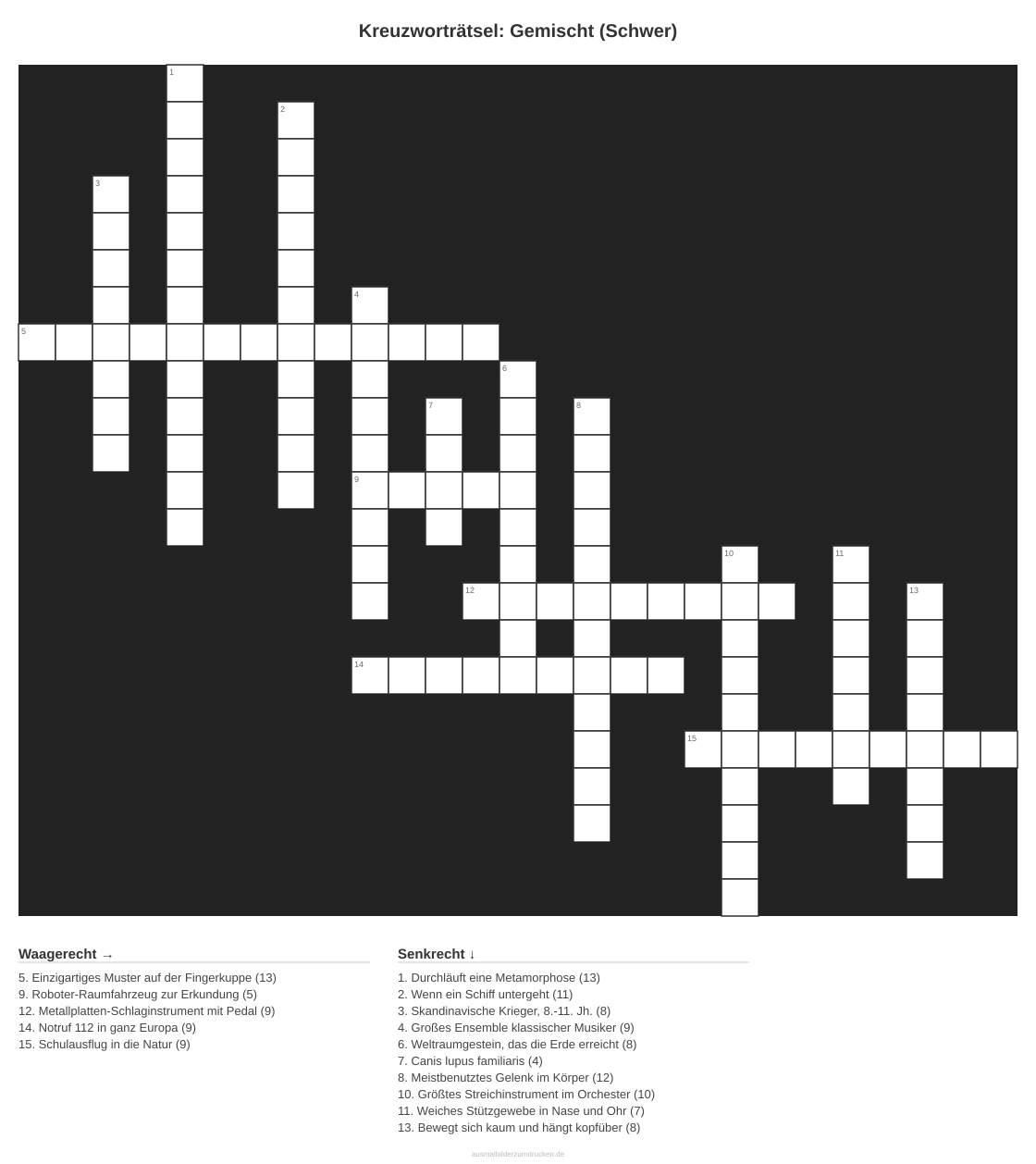 Kreuzworträtsel Kreuzworträtsel: Gemischt (Schwer) aus der Kategorie Sonstiges - kostenlos ausdrucken