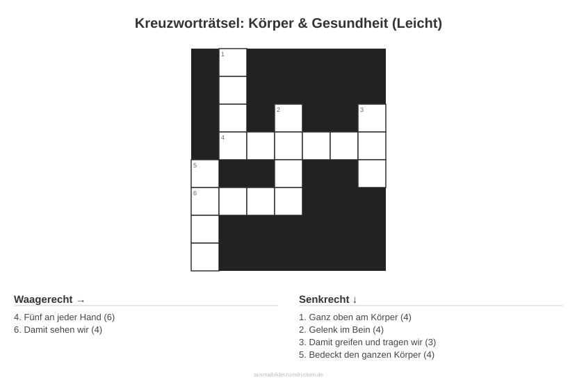 Kreuzworträtsel Kreuzworträtsel: Körper & Gesundheit (Leicht) aus der Kategorie Körper - kostenlos ausdrucken