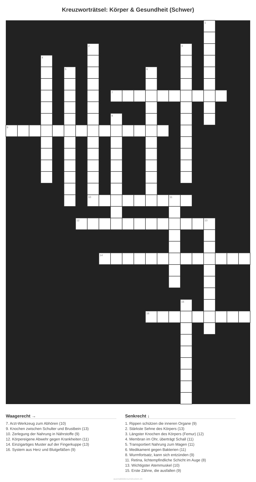 Kreuzworträtsel Kreuzworträtsel: Körper & Gesundheit (Schwer) aus der Kategorie Körper - kostenlos ausdrucken