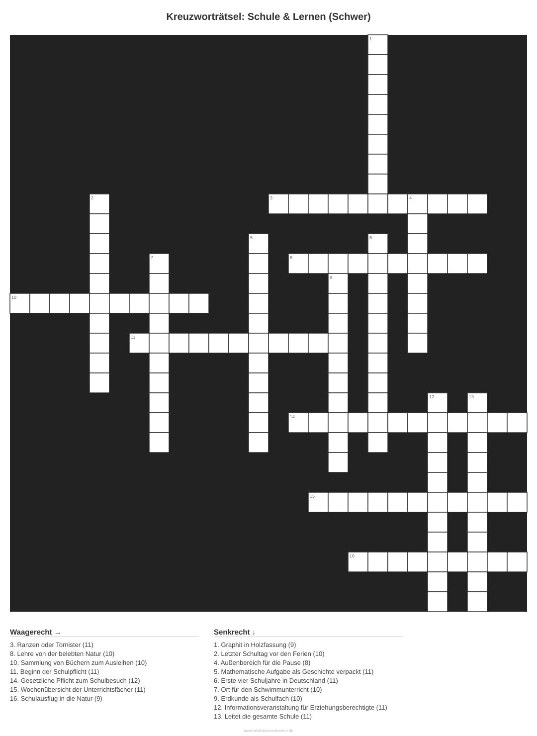Kreuzworträtsel Kreuzworträtsel: Schule & Lernen (Schwer) aus der Kategorie Schule - kostenlos ausdrucken
