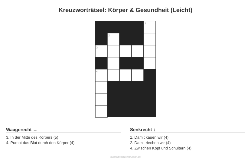 Kreuzworträtsel Kreuzworträtsel: Körper & Gesundheit (Leicht) aus der Kategorie Körper - kostenlos ausdrucken