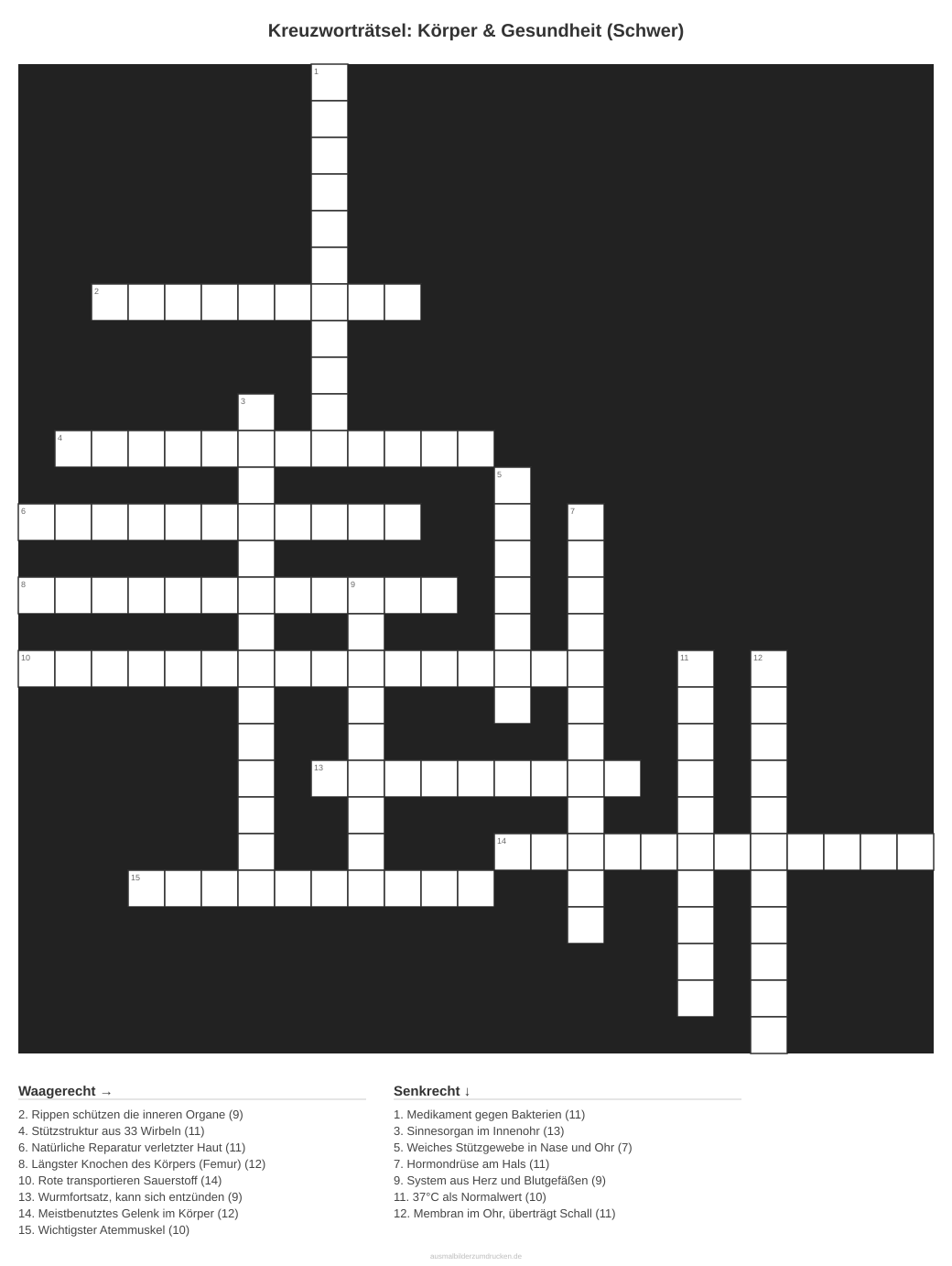 Kreuzworträtsel Kreuzworträtsel: Körper & Gesundheit (Schwer) aus der Kategorie Körper - kostenlos ausdrucken