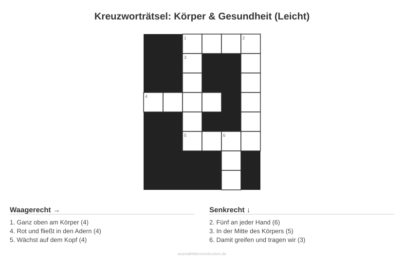 Kreuzworträtsel Kreuzworträtsel: Körper & Gesundheit (Leicht) aus der Kategorie Körper - kostenlos ausdrucken