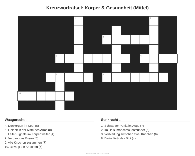 Kreuzworträtsel Kreuzworträtsel: Körper & Gesundheit (Mittel) aus der Kategorie Körper - kostenlos ausdrucken