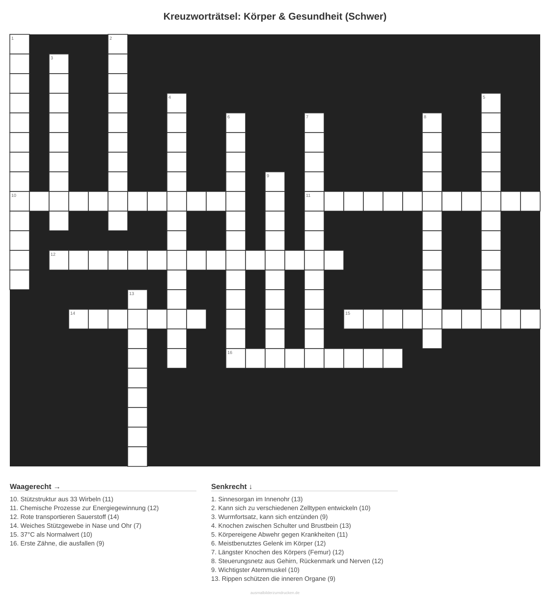 Kreuzworträtsel Kreuzworträtsel: Körper & Gesundheit (Schwer) aus der Kategorie Körper - kostenlos ausdrucken