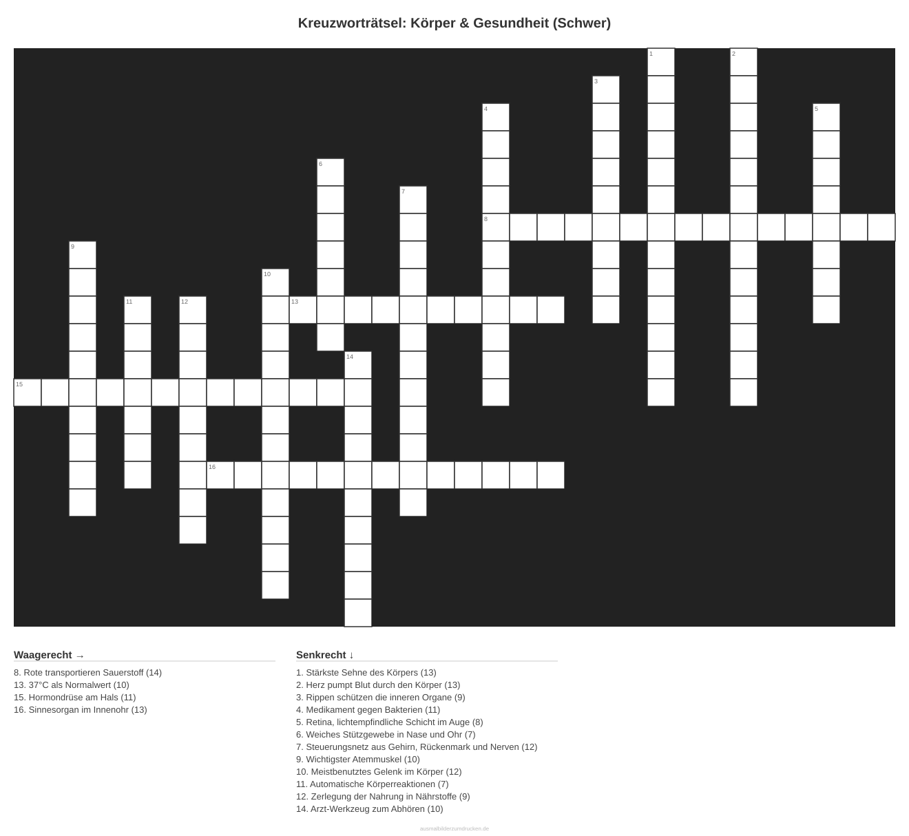 Kreuzworträtsel Kreuzworträtsel: Körper & Gesundheit (Schwer) aus der Kategorie Körper - kostenlos ausdrucken