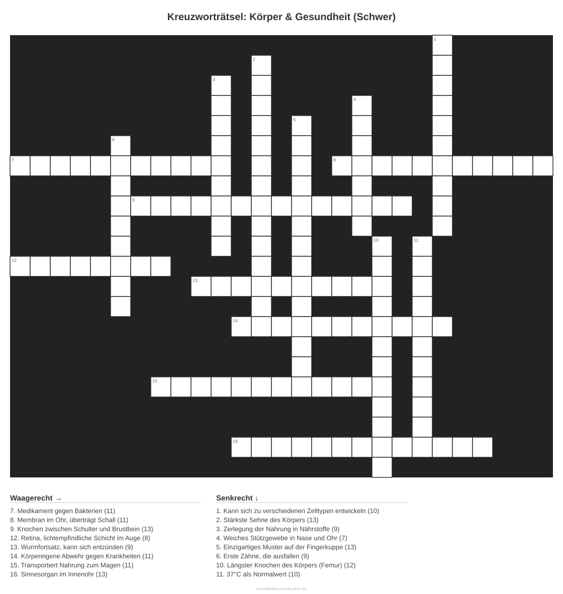 Kreuzworträtsel Kreuzworträtsel: Körper & Gesundheit (Schwer) aus der Kategorie Körper - kostenlos ausdrucken