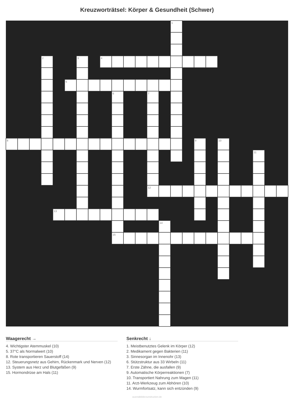Kreuzworträtsel Kreuzworträtsel: Körper & Gesundheit (Schwer) aus der Kategorie Körper - kostenlos ausdrucken