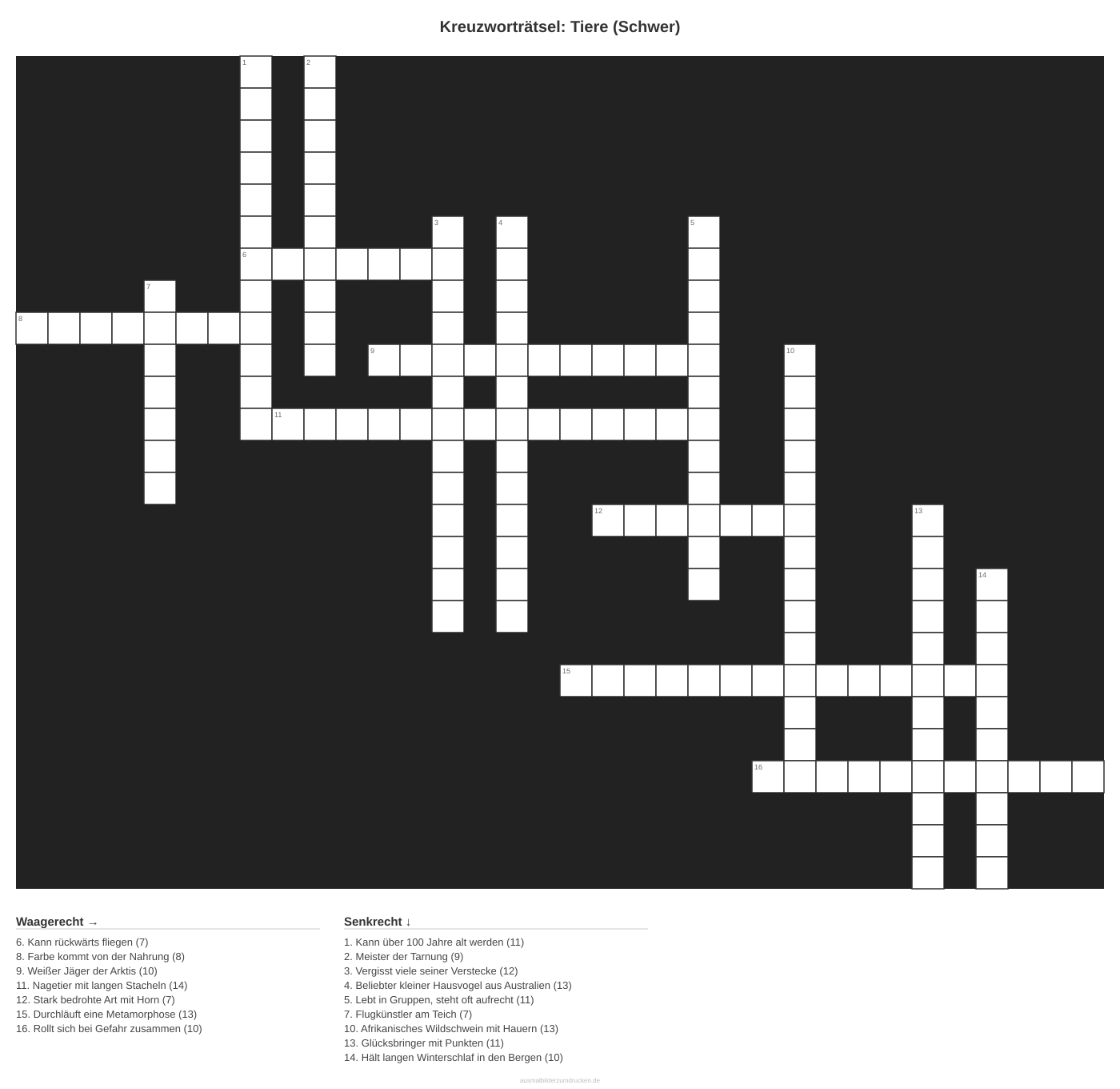 Kreuzworträtsel Kreuzworträtsel: Tiere (Schwer) aus der Kategorie Tiere - kostenlos ausdrucken