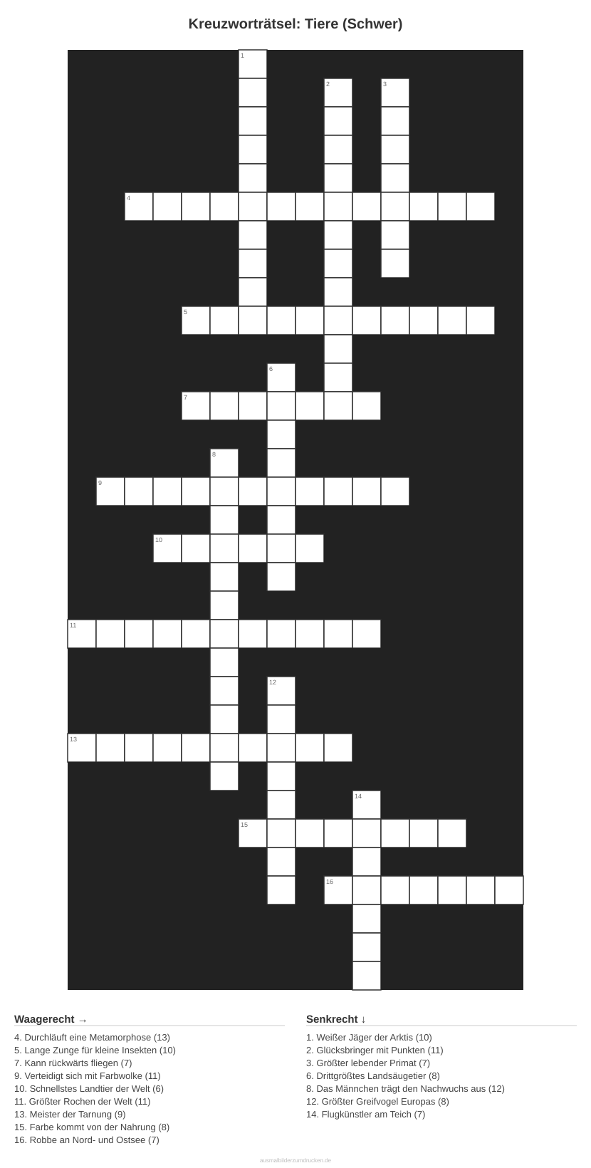 Kreuzworträtsel Kreuzworträtsel: Tiere (Schwer) aus der Kategorie Tiere - kostenlos ausdrucken
