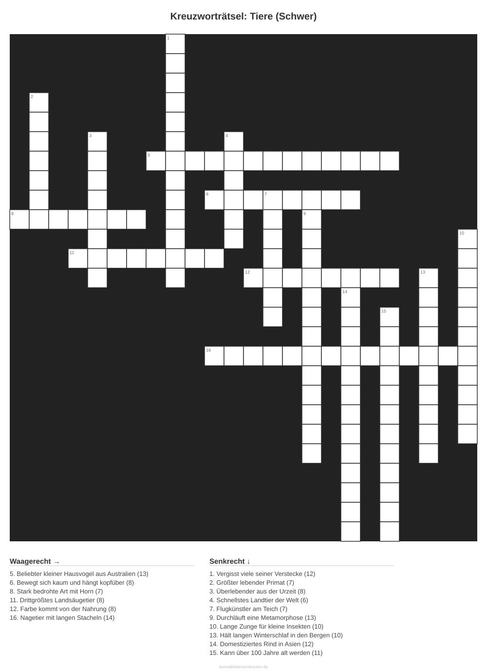 Kreuzworträtsel Kreuzworträtsel: Tiere (Schwer) aus der Kategorie Tiere - kostenlos ausdrucken