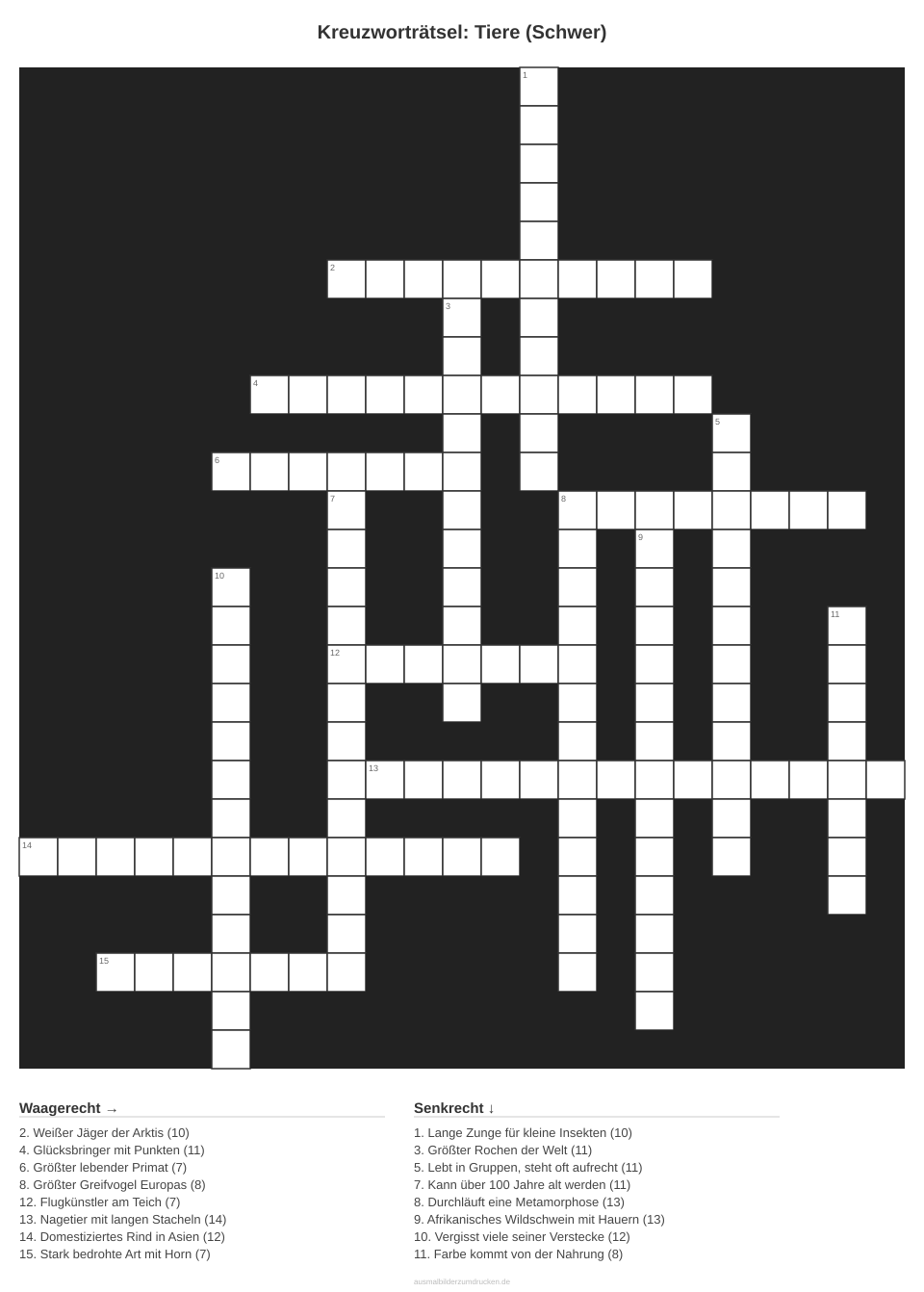 Kreuzworträtsel Kreuzworträtsel: Tiere (Schwer) aus der Kategorie Tiere - kostenlos ausdrucken
