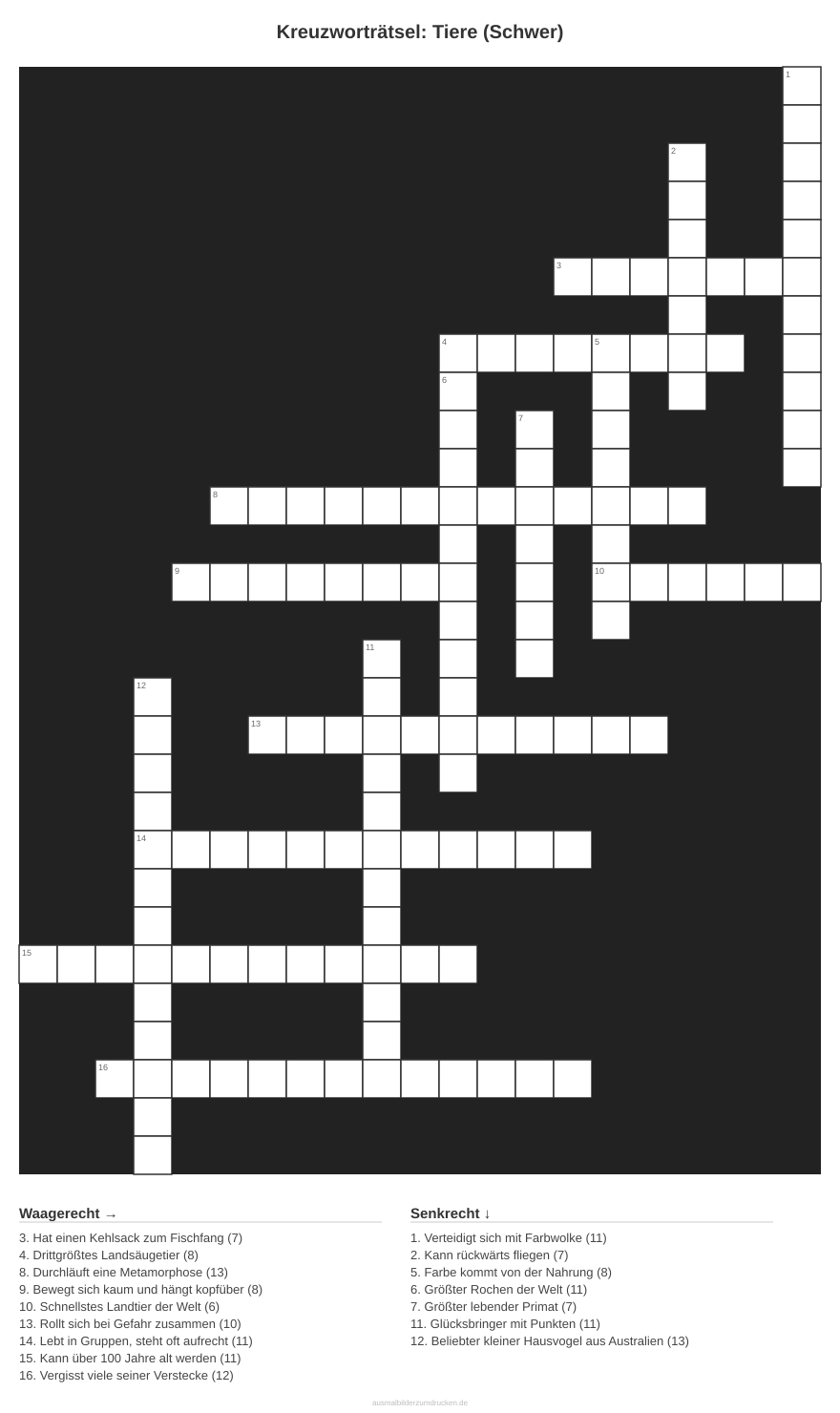 Kreuzworträtsel Kreuzworträtsel: Tiere (Schwer) aus der Kategorie Tiere - kostenlos ausdrucken
